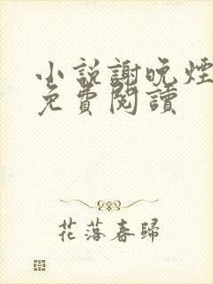 小说谢晚烟沈煜免费阅读