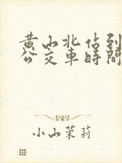 黄山北站到休宁公交车时间表