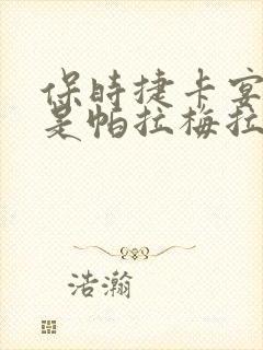 保时捷卡宴好还是帕拉梅拉好