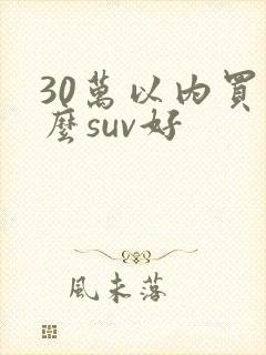 30万以内买什么suv好