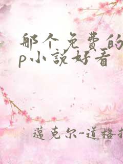 那个免费的app小说好看 那个免费的app小说好看