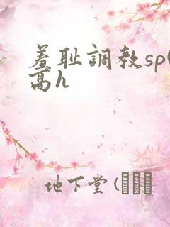 羞耻调教sp(高h