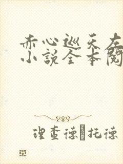 赤心巡天左光烈小说全本阅读
