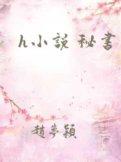 h小说 秘书