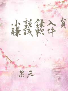 小说录入员打字赚钱软件