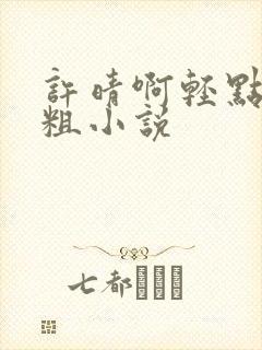 许晴啊轻点灬太粗小说