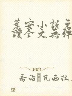 叶安小说免费阅读全文无弹窗