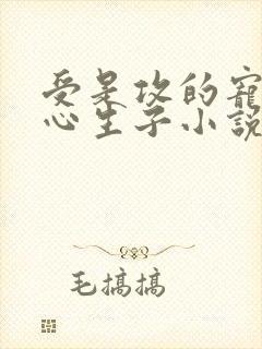受是攻的宠妃虐心生子小说