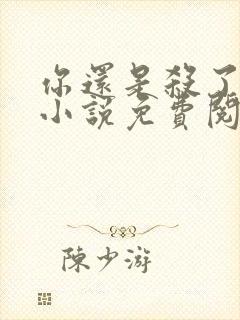 你还是杀了我吧小说免费阅读