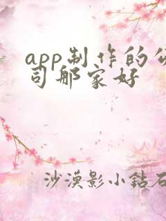 app制作的公司那家好