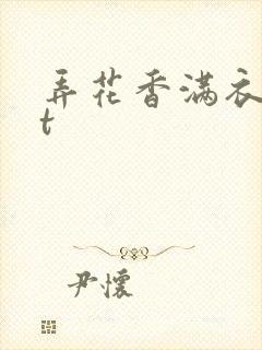 弄花香满衣txt