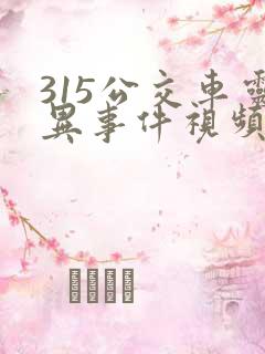 315公交车灵异事件视频