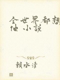 全世界都想要的他 小说