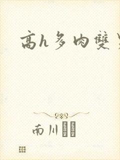 高h多肉双男主