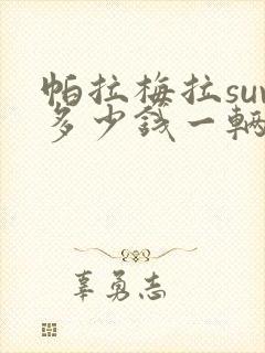 帕拉梅拉suv多少钱一辆