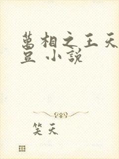 万相之王天蚕土豆 小说