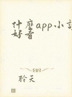 什么app小说好看