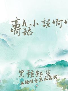 高h小说啊啊啊啊舔