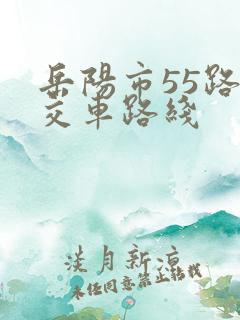 岳阳市55路公交车路线