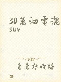 30万油电混动suv