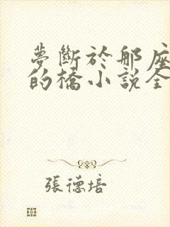 梦断于那座无人的桥小说全文阅读