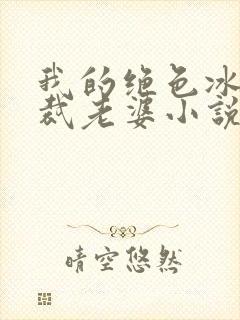 我的绝色冰山总裁老婆小说