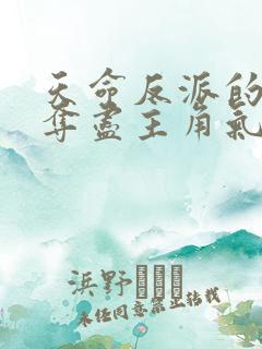 天命反派的我,夺尽主角气运