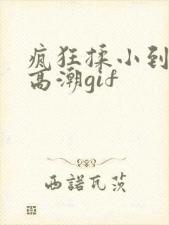 疯狂揉小到失禁高潮gif