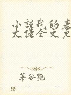 小说我的老公是大佬全文免费阅读