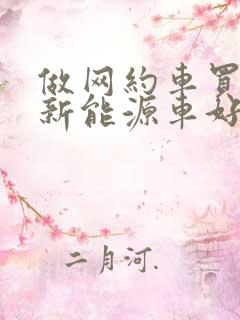 做网约车买什么新能源车好