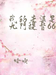 我的老婆是总裁九门提督666小说完本 我的老婆是总裁九门提督666小说完本