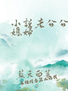 小说老公公和儿媳妇