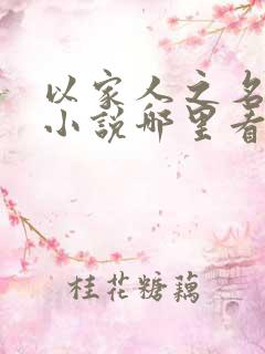 以家人之名原著小说哪里看