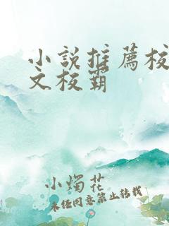 小说推荐校园甜文校霸