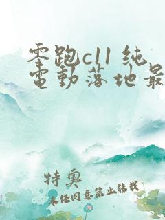 零跑c11 纯电动落地最低多少钱