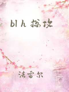 bl h 总攻