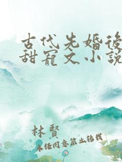 古代先婚后爱的甜宠文小说