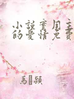 小说实用主义者的爱情免费阅读 小说实用主义者的爱情免费阅读