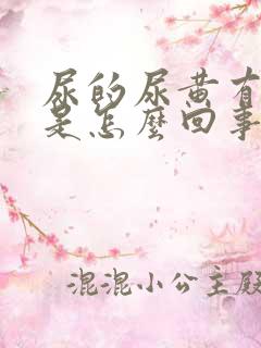 尿的尿黄有味道是怎么回事