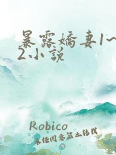 暴露娇妻1~12小说