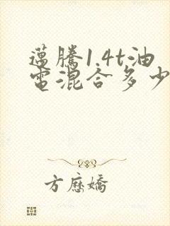 迈腾1.4t油电混合多少钱