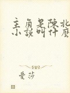 主角是陈北玄的小说叫什么