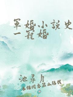 军婚小说史上第一宠婚