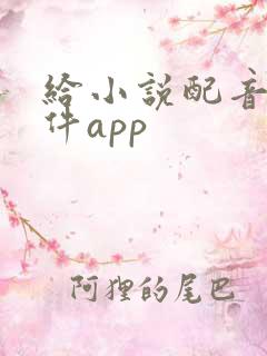 给小说配音的软件app