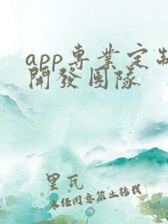 app专业定制开发团队 app专业定制开发团队