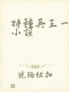 特种兵王一凡的小说