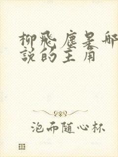 柳飞尘是哪部小说的主角