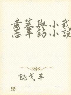 黄蓉与小武和尹志平的小说