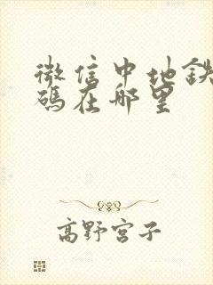微信中地铁乘车码在哪里