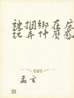 被捆绑在床调教玩弄什么感觉